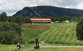 Ljusnedal lägenhet med golf, paddel, fiske och skidåkning